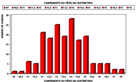 img_gráfico.jpg